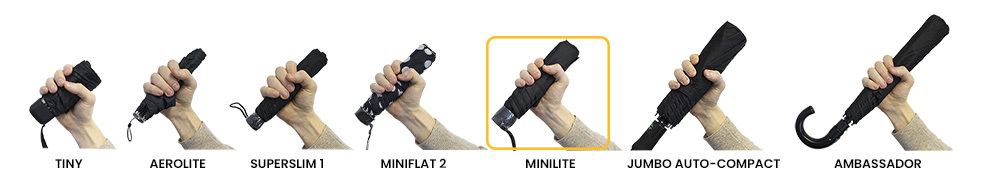 Fulton Compact Umbrella Size Comparison