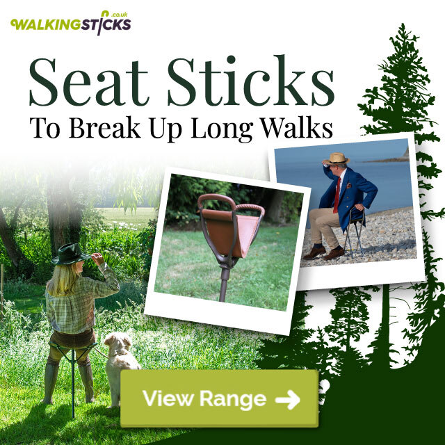 Seat Stick Walking Sticks