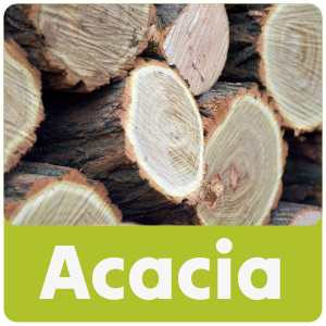 Acacia Walking Sticks