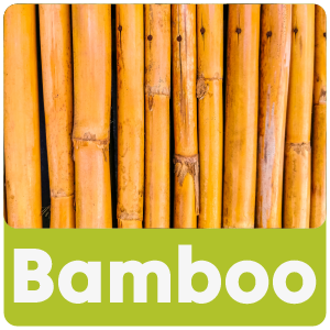 Bamboo Walking Sticks
