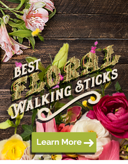 See Our Best Floral Walking Sticks
