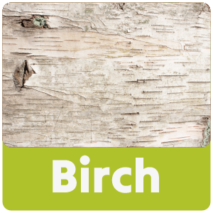 Birch Walking Sticks