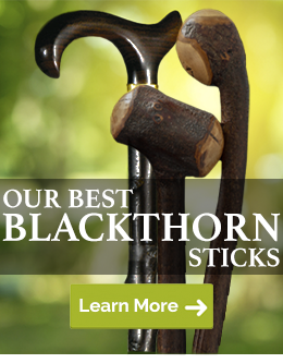 Our Best Blackthorn Walking Sticks