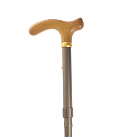 Lightweight Walking Sticks