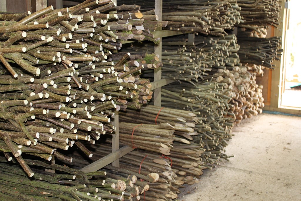 Sticks in the drying room