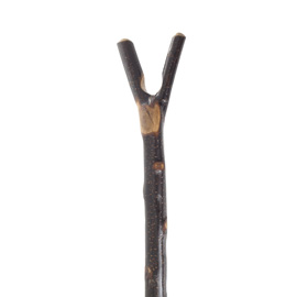 Thumbstick Handle Walking Sticks