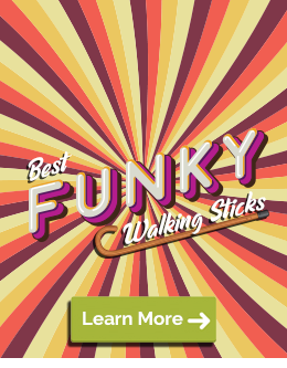 See Our Best Funky Walking Sticks