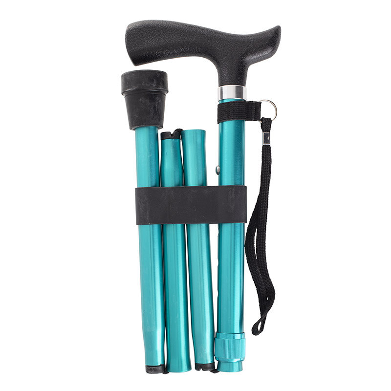 Turquoise Walking Sticks