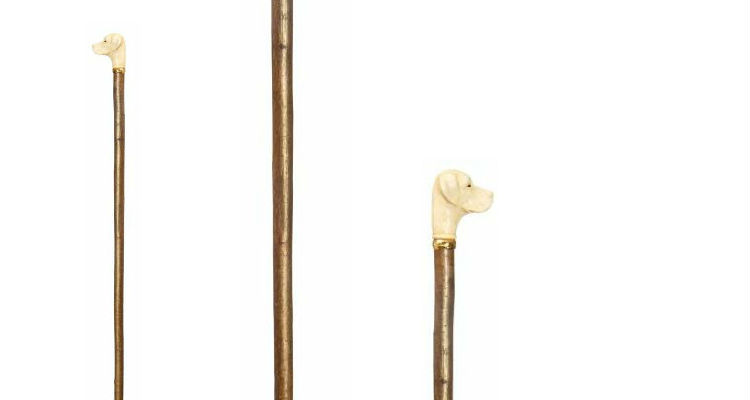 Labrador Retriever Handle Hazel Walking Stick