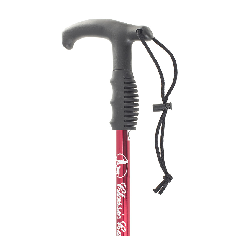 Swissgear walking stick hotsell