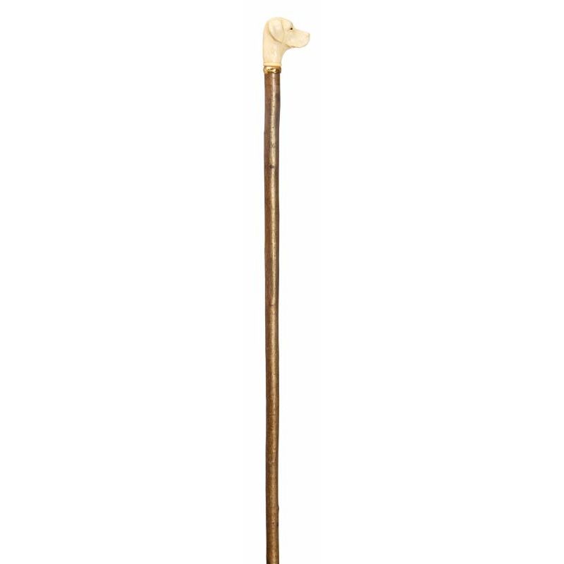 Collectors' Labrador Retriever Handle Hazel Walking Stick