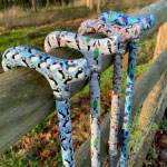 Watch Videos of Our Animal-Themed Walking Sticks