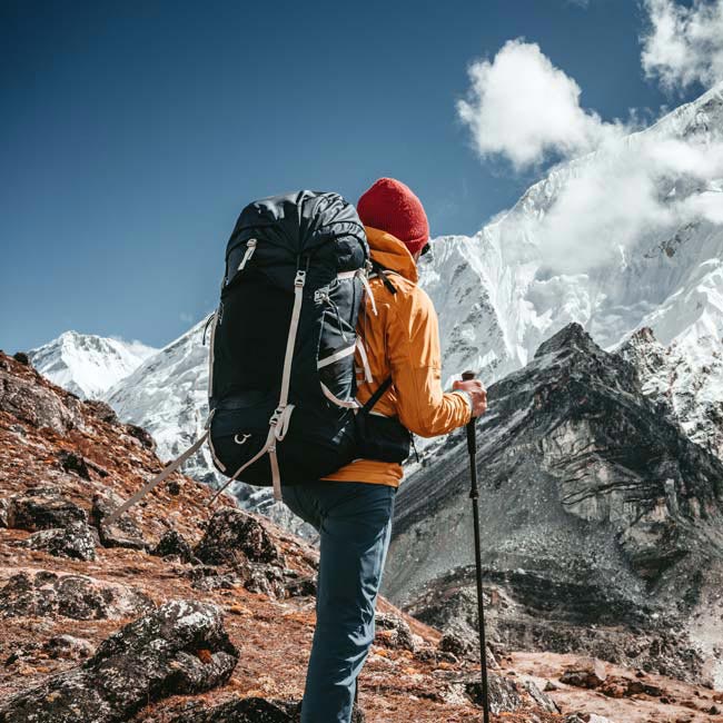 Best Walking Sticks For Hiking 2023