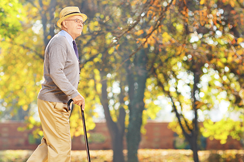 How to Use a Walking Stick