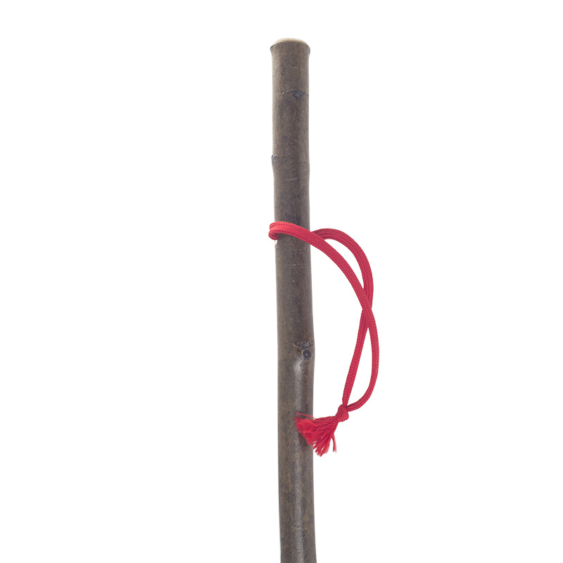 Junior Hiker Children's Hiking Stick