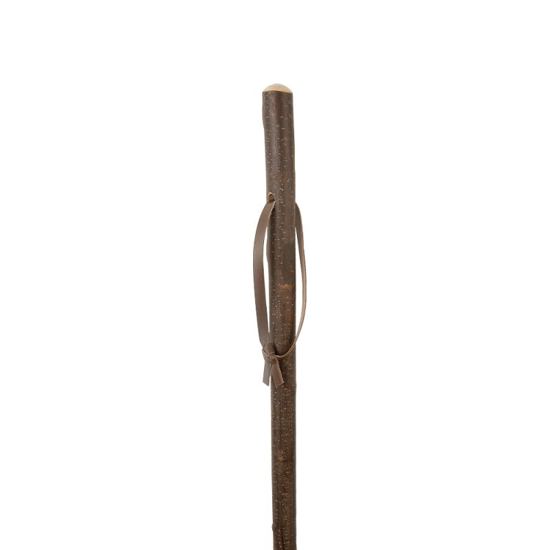 Metal hiking sales sticks