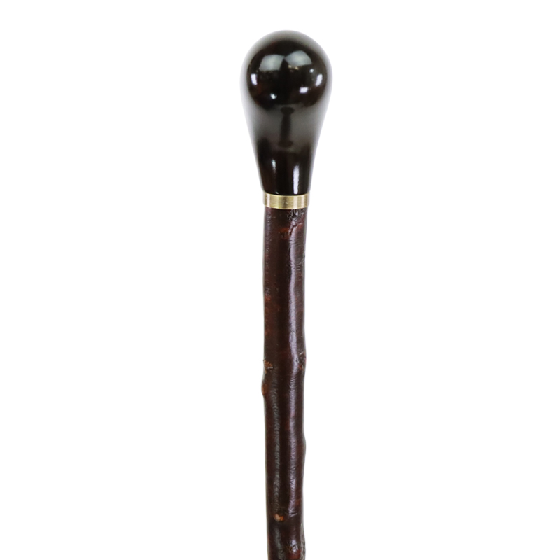 Blackthorn Cane w/ Pistol Grip Handle WalkingSticks.co.uk