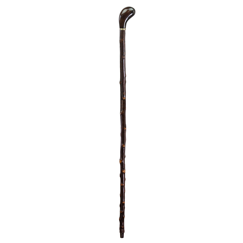 Blackthorn Cane w/ Pistol Grip Handle WalkingSticks.co.uk
