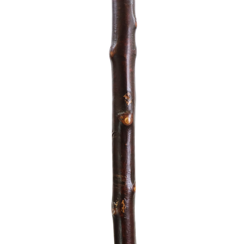 Blackthorn Cane with Sandalwood Pistol Grip Handle WalkingSticks.co.uk