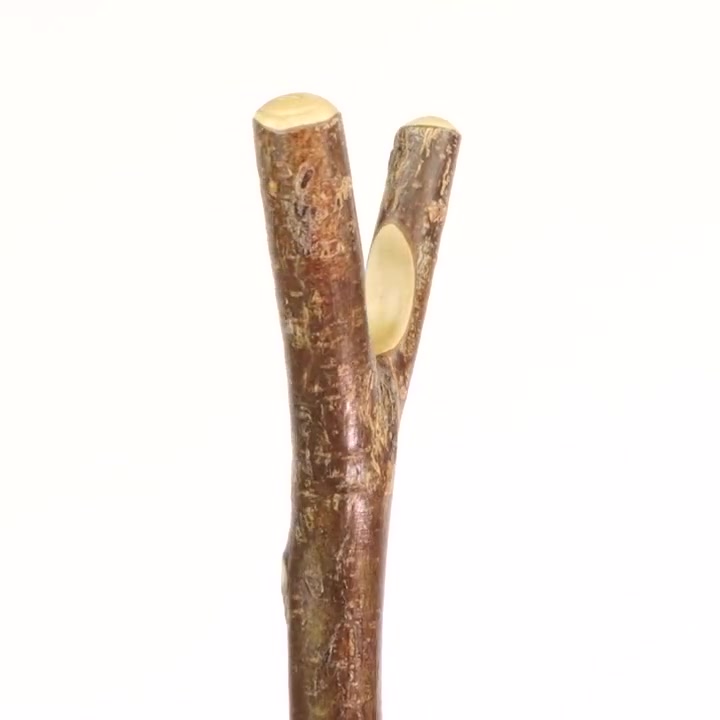 Long Hazel Thumbstick Walking Stick WalkingSticks.co.uk