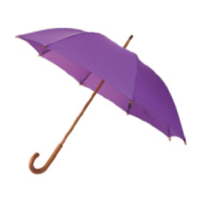 Crook-Handle Walking Stick Umbrella (Purple)