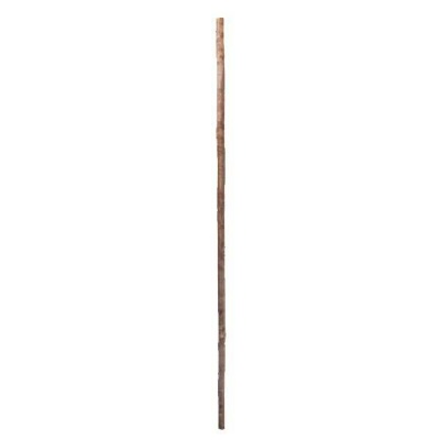 Unlacquered 54'' Hazel Fit Up Walking Stick Shaft for Stick Makers