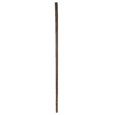Unlacquered 54'' Chestnut Fit Up Walking Stick Shaft for Stick Makers
