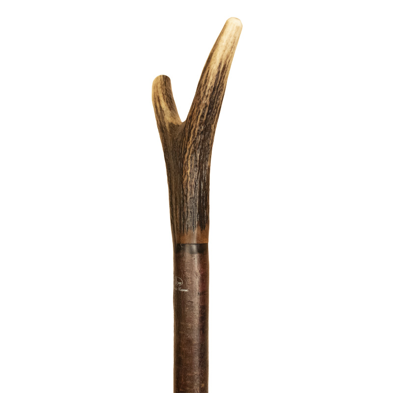 Antler Thumbstick Handle Blackthorn Walking Stick
