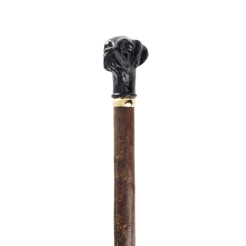 Black Labrador Hazel Walking Stick