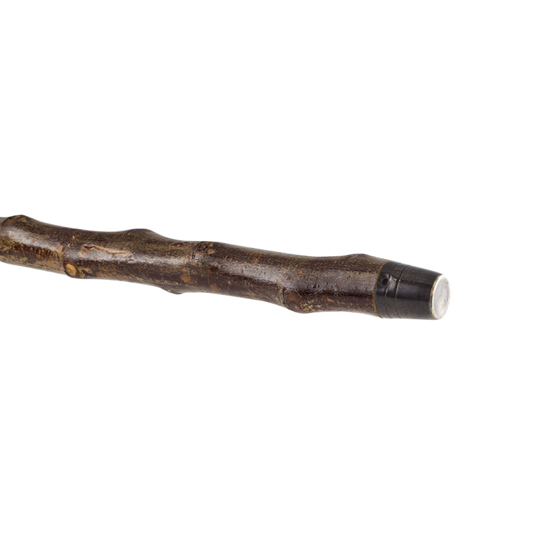 Black Labrador Hazel Walking Stick