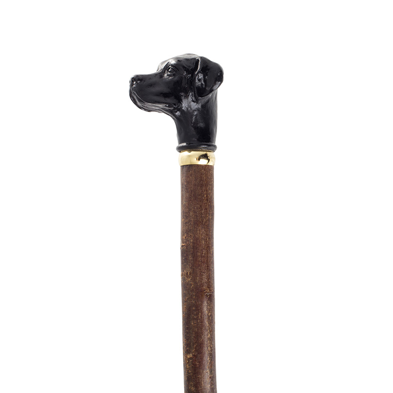 Black Labrador Hazel Walking Stick