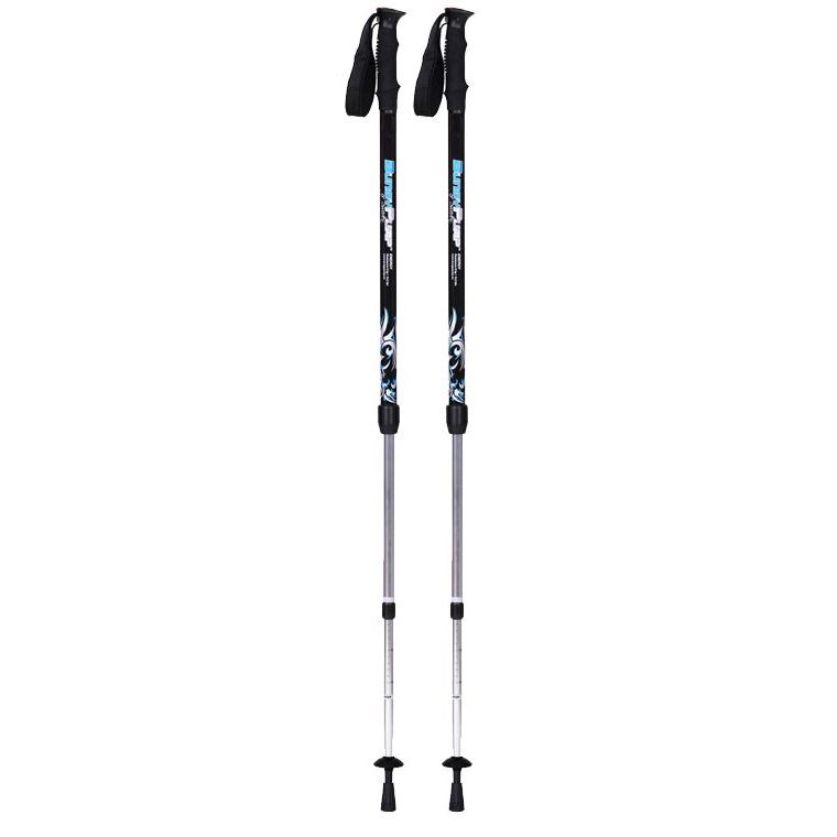 BungyPump Energy Nordic Walking Poles (6kg Resistance)