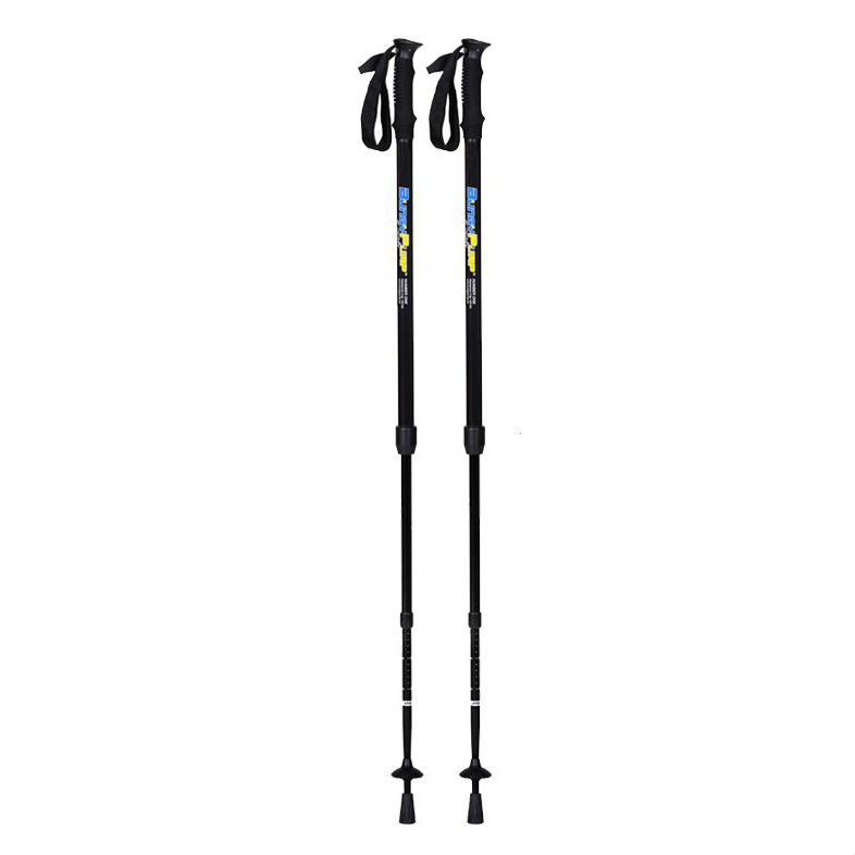 BungyPump Number One Nordic Walking Poles (4kg Resistance)