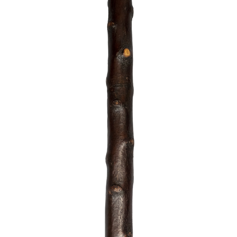 Curly Blackthorn Wood Ram's Horn Crook Walking Stick