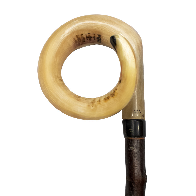 Curly Blackthorn Wood Ram's Horn Crook Walking Stick