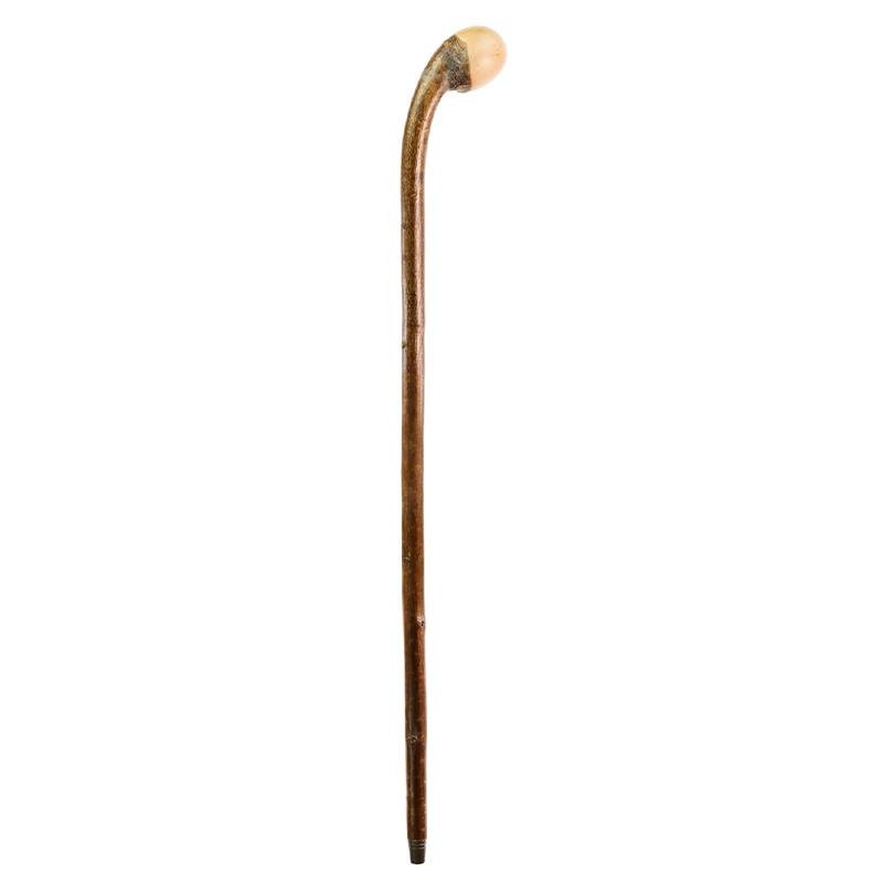 Extra Tall Coppice Knobstick Hazel Walking Stick