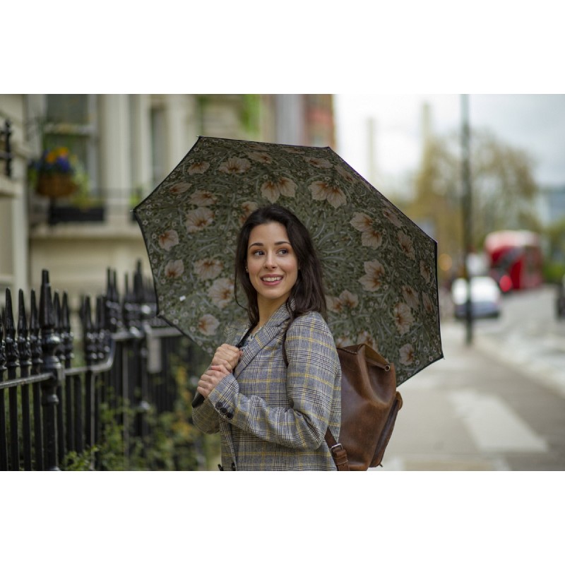 Fulton Bloomsbury-2 Morris and Co. Walking Umbrella (Pimpernel Bayleaf Manilla)
