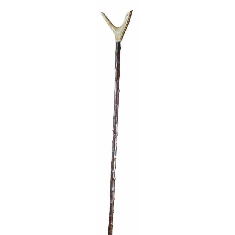 Best Blackthorn Walking Sticks WalkingSticks.co.uk
