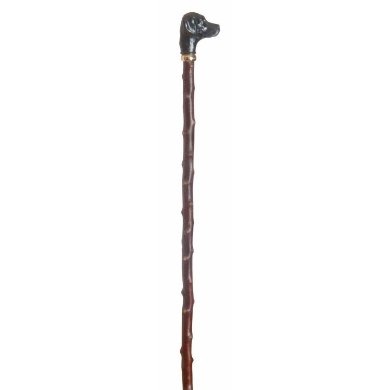 Black Labrador Handle Blackthorn Walking Stick