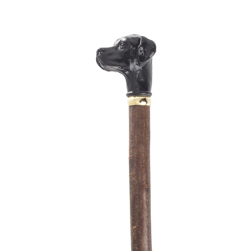 Black Labrador Handle Hazel Walking Stick WalkingSticks.co.uk
