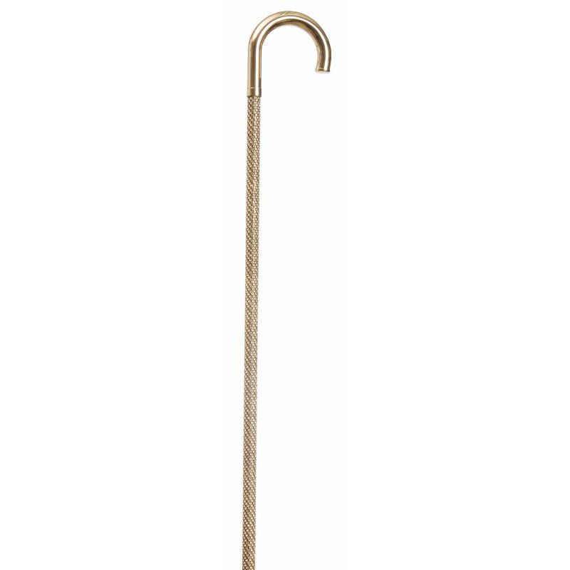 Polished Brass Crook Cane with Swarovski Shaft