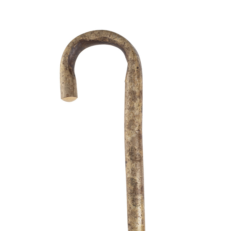 ExtraLong Hazel Crook Walking Stick WalkingSticks.co.uk