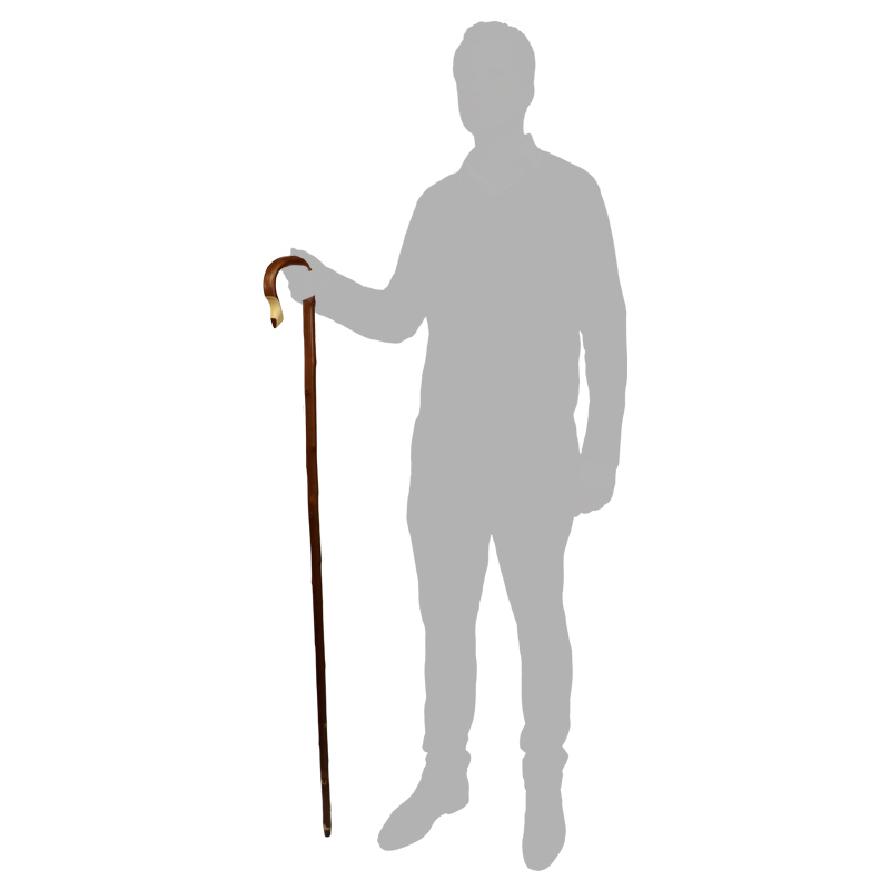 Chestnut Hiking Stick Sizing Image