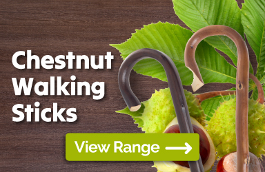 Browse Our Range of Chestnut Walking Sticks