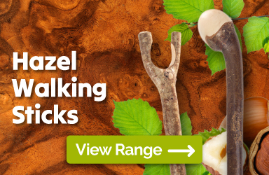 Browse Our Range of Hazel Walking Sticks