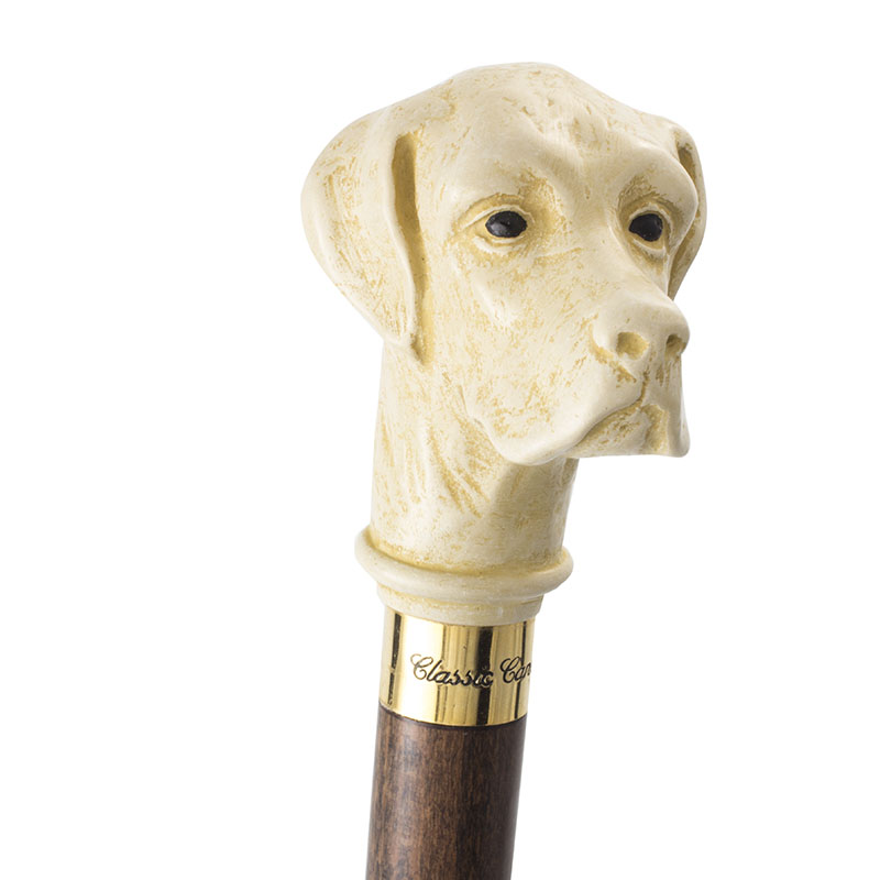 Labrador Retriever Handle