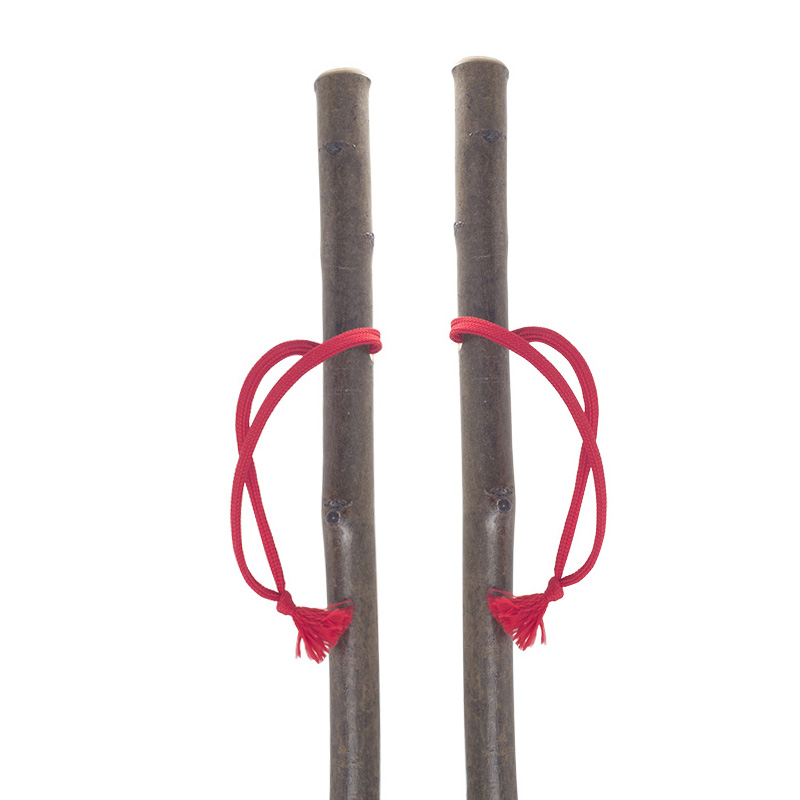 Junior Hiker Children's Hiking Sticks (Pair)