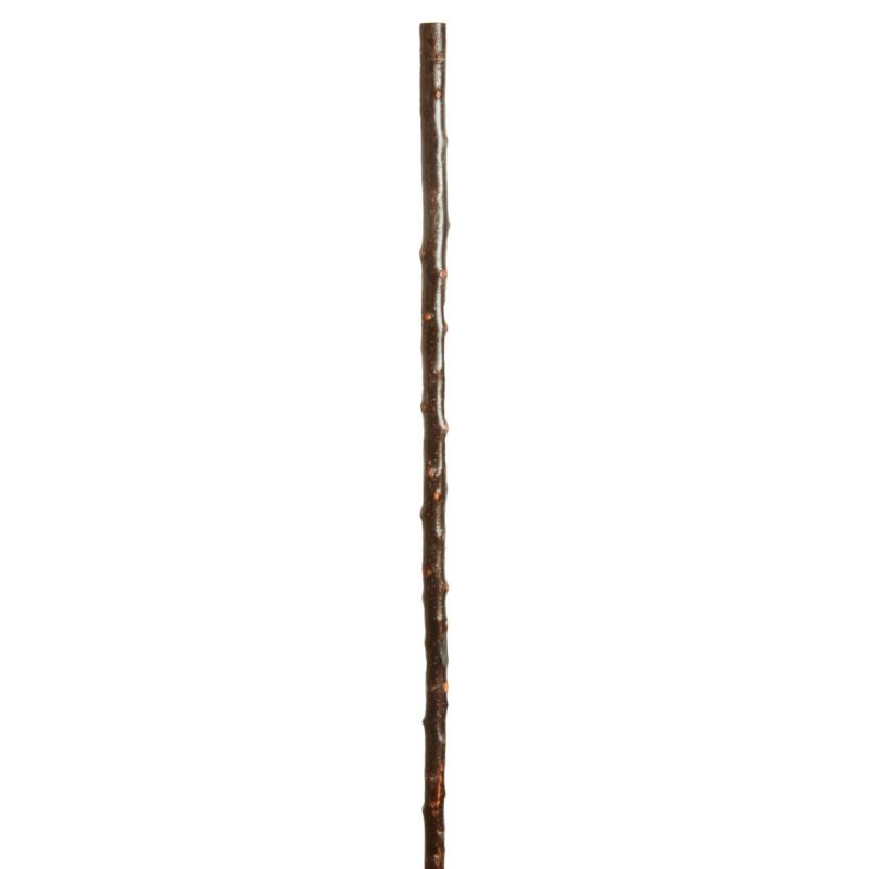 Long Blackthorn 53" Walking Stick Fit Up WalkingSticks.co.uk