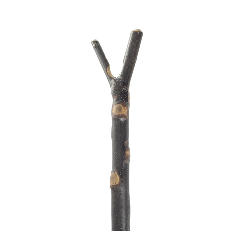 Natural Bark Finish Chestnut Thumbstick Hiking Stick WalkingSticks.co.uk