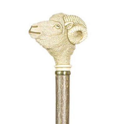 Ram Handle Hazel Walking Stick